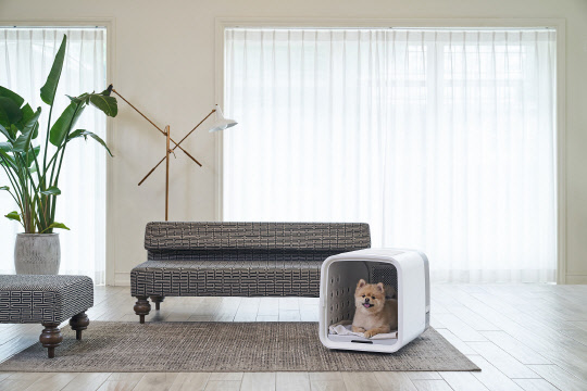 코로나 19 사태가 장기화하며 반려동물의 위생관리에 대한 관심이 급증, 쿠쿠 펫 드라이룸의 올해 1분기 판매량이 전분기(19년 4분기) 대비 13% 증가한 것으로 나타났다. <쿠쿠 제공>